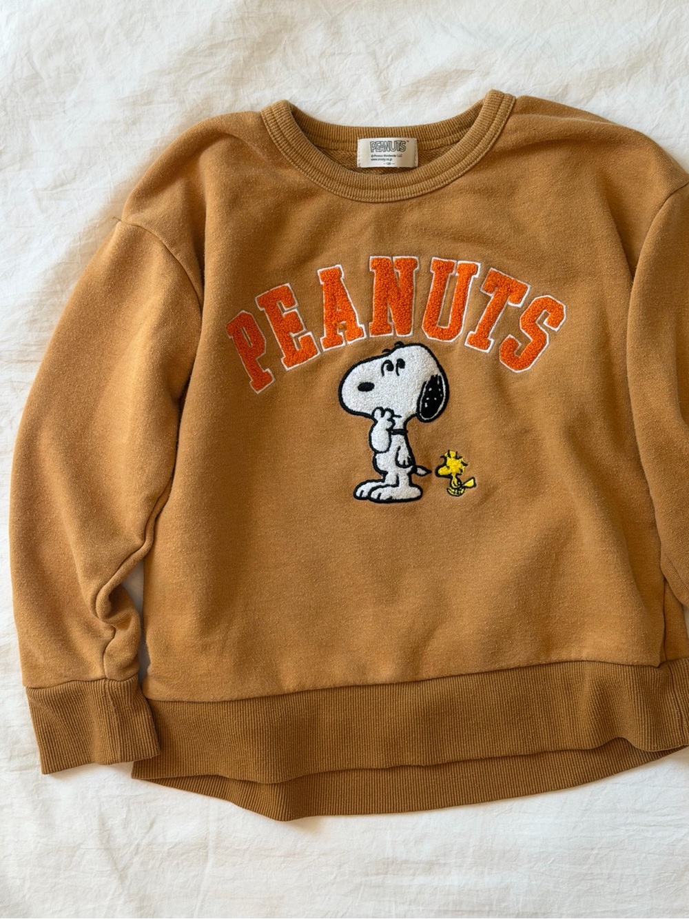 Peanuts Snoopy “Charlie Brown & Snoopy Best Friends” Crewneck Sweatshirt Size 12